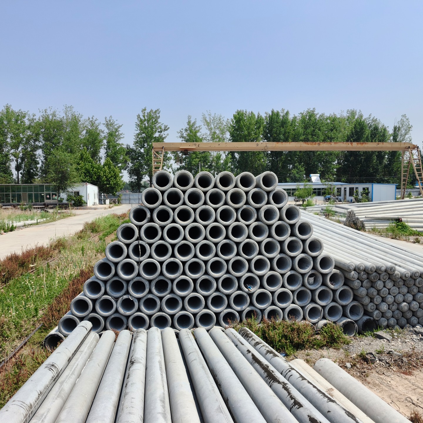 西双版纳190×10米水泥电线杆